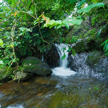 Tiyans Stone Castle Private Tea Villa Vagamon By Voye Homes エクステリア 写真